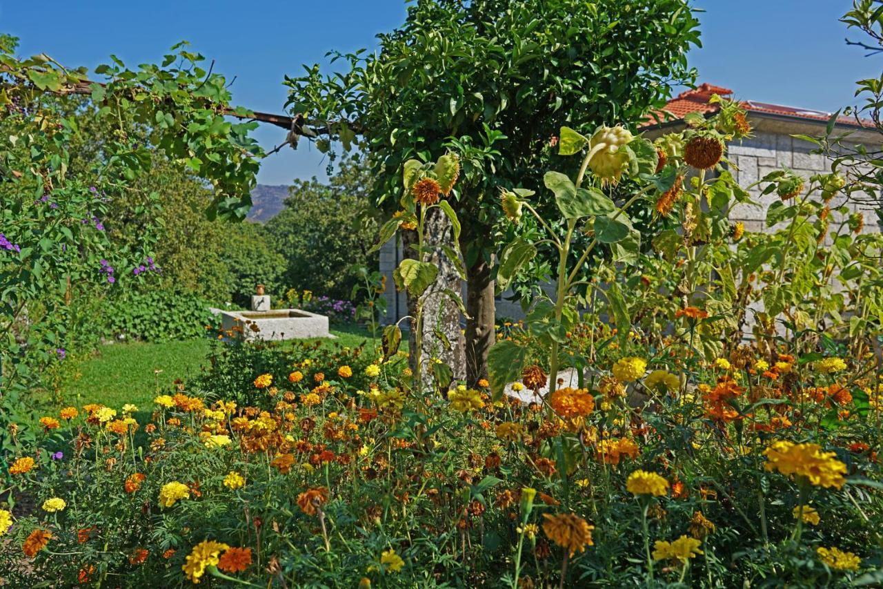 파페 Casa Do Vale 게스트하우스 외부 사진
